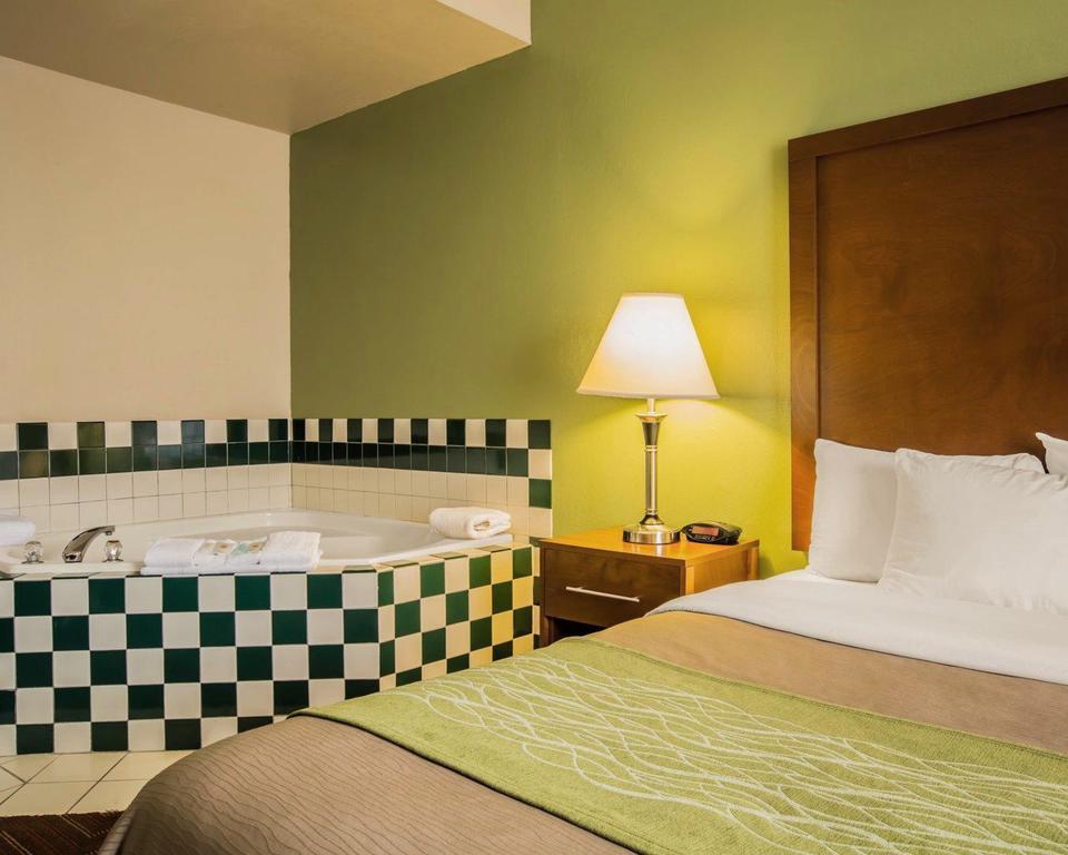 Comfort Inn Asheville Airport Fletcher Extérieur photo