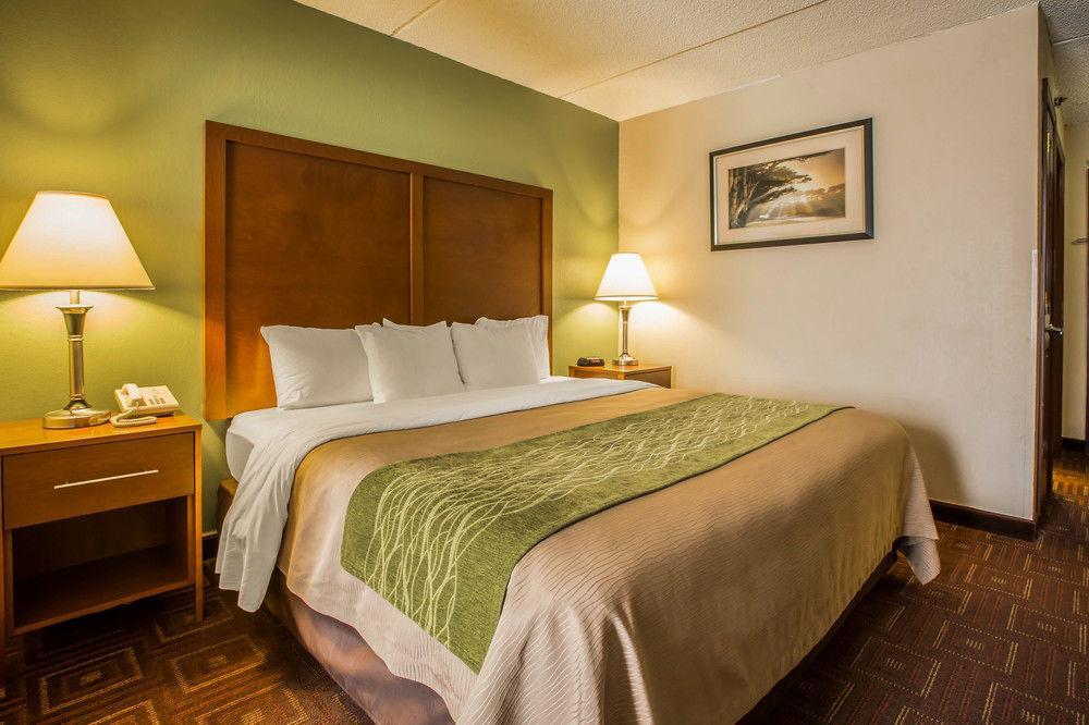 Comfort Inn Asheville Airport Fletcher Extérieur photo