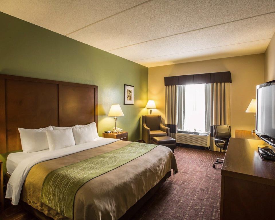 Comfort Inn Asheville Airport Fletcher Extérieur photo