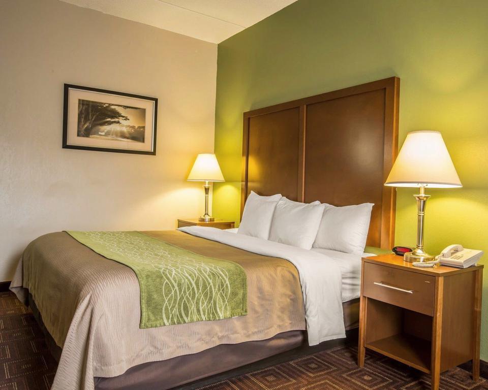 Comfort Inn Asheville Airport Fletcher Extérieur photo