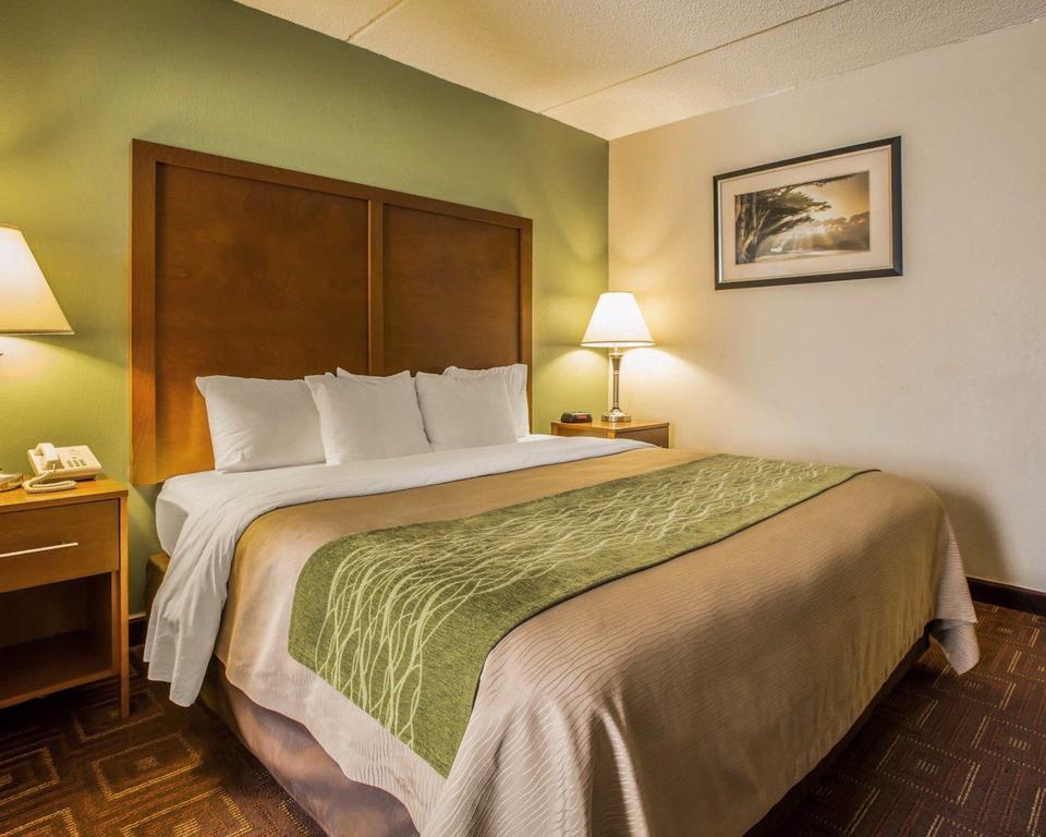 Comfort Inn Asheville Airport Fletcher Extérieur photo