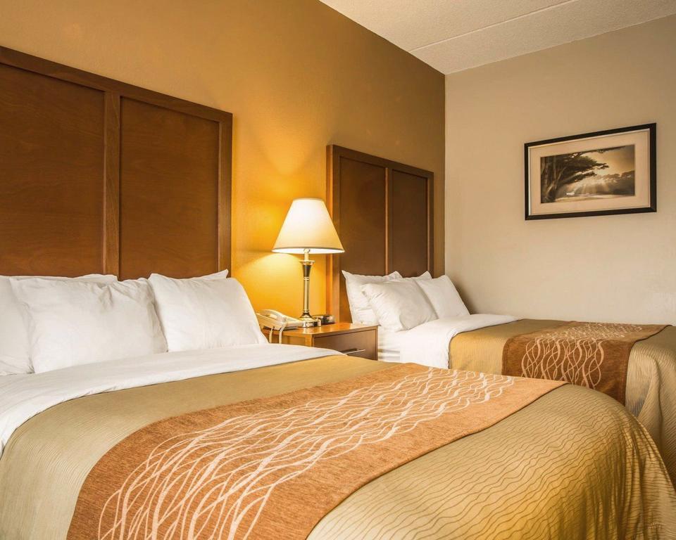 Comfort Inn Asheville Airport Fletcher Extérieur photo